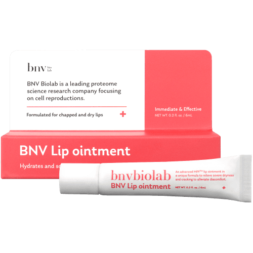 BNV Lip Ointment (비엔뷔 립)