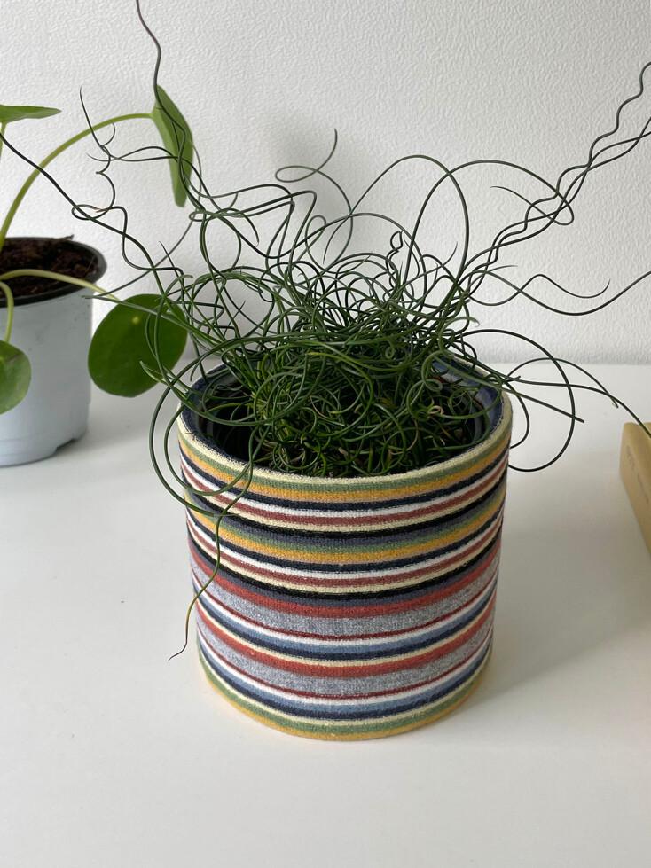 pot cover - multi s/t  팟커버