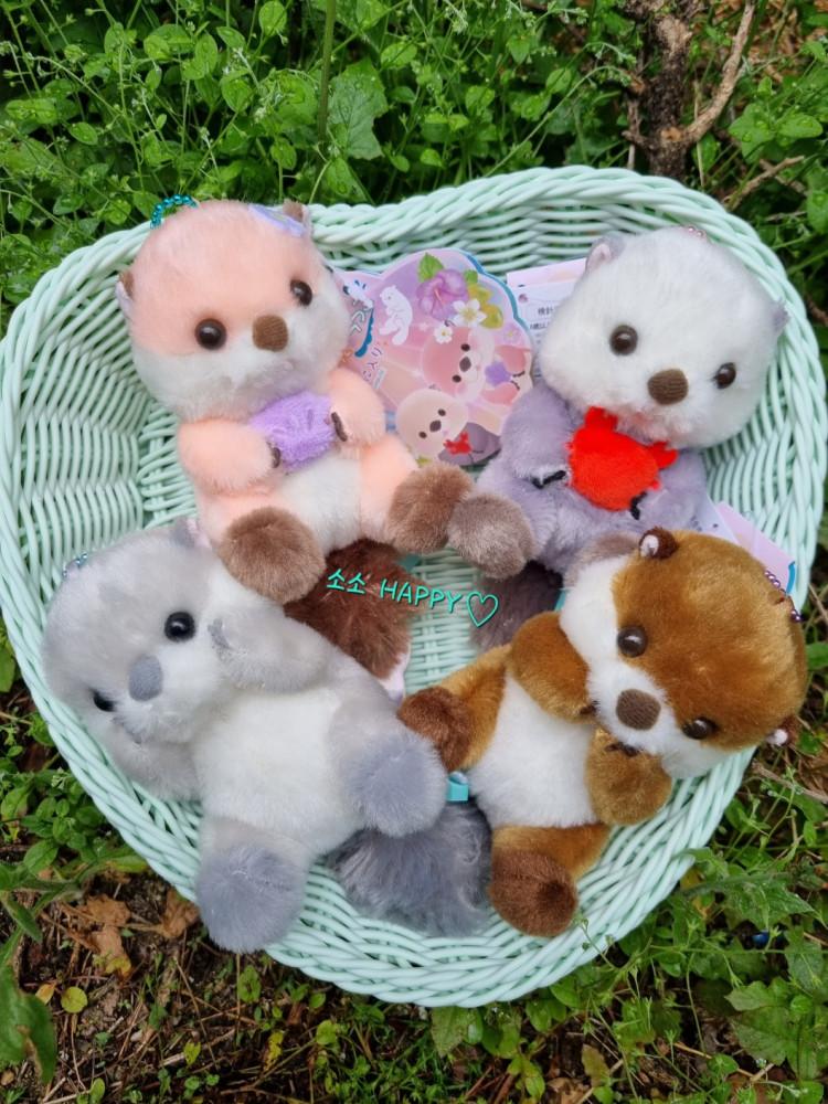 어뮤즈 수영이 즐거운 아기 해달 키링 인형 수달 동물 선물