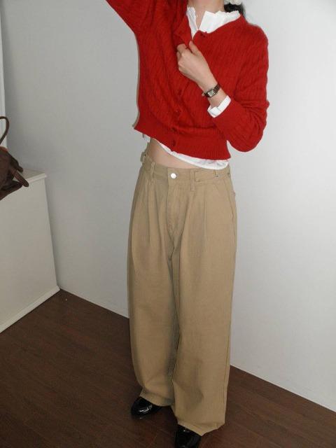 [허리조절가능/체형커버] 로느 와이드 비조 핀턱 팬츠 (25~30) (비조팬츠-비조바지-사이드비조팬츠-사이드비조바지-롱팬츠-롱바지-캐주얼팬츠-와이드팬츠-와이드바지-핀턱바지-핀턱팬츠)