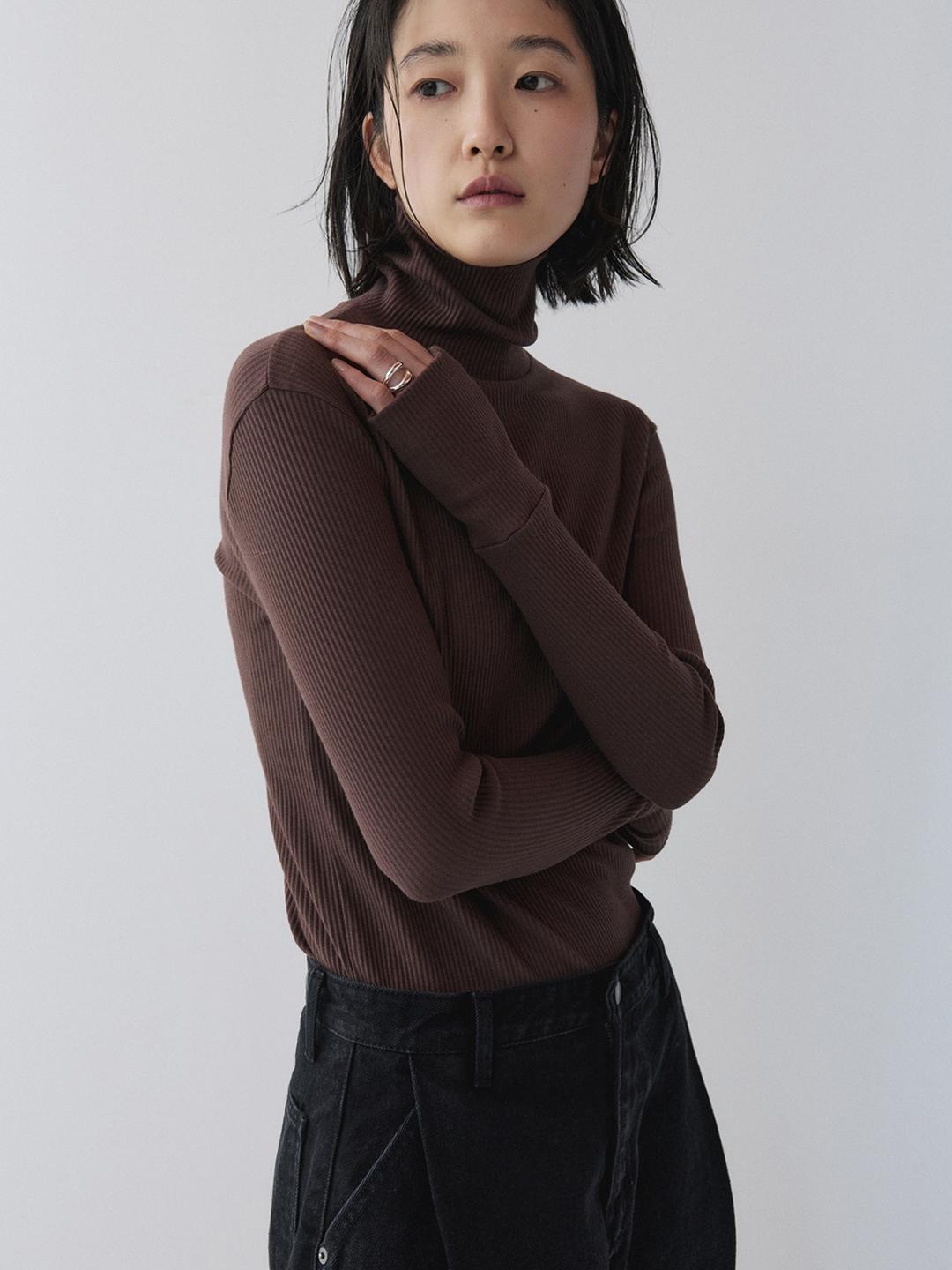 Nomi Slim Fit Rib Turtleneck, Brown