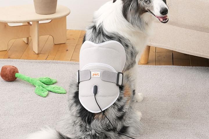 슬개골 따땃패드