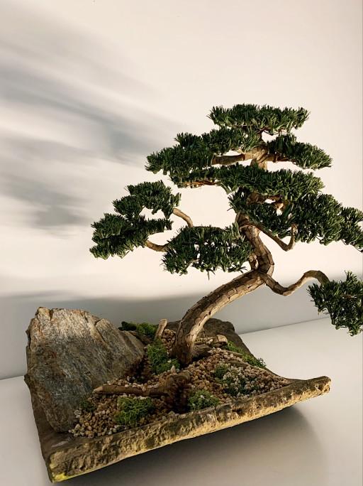 [종이 나무] 소나무 분재 인조 조화 나무 오브제