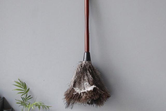 New 타조털 먼지털이개