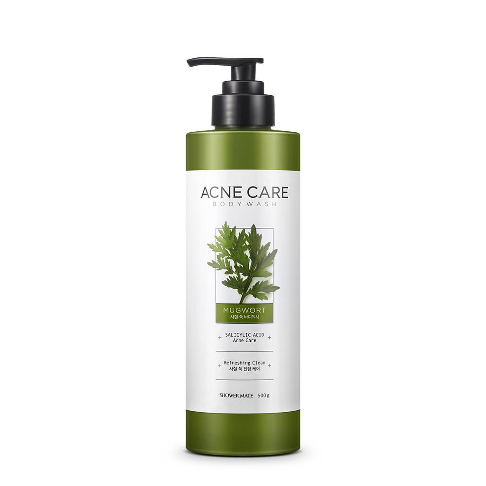 아크네케어(사철쑥) 바디워시 500g