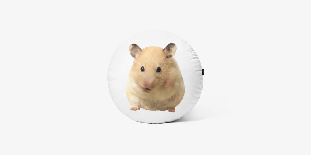 햄스터 박콩 찹쌀떡 쿠션