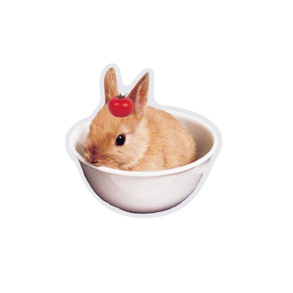 Rabbit grip tok , 토끼 그립톡