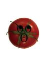 [Project 1] griptok Tomato