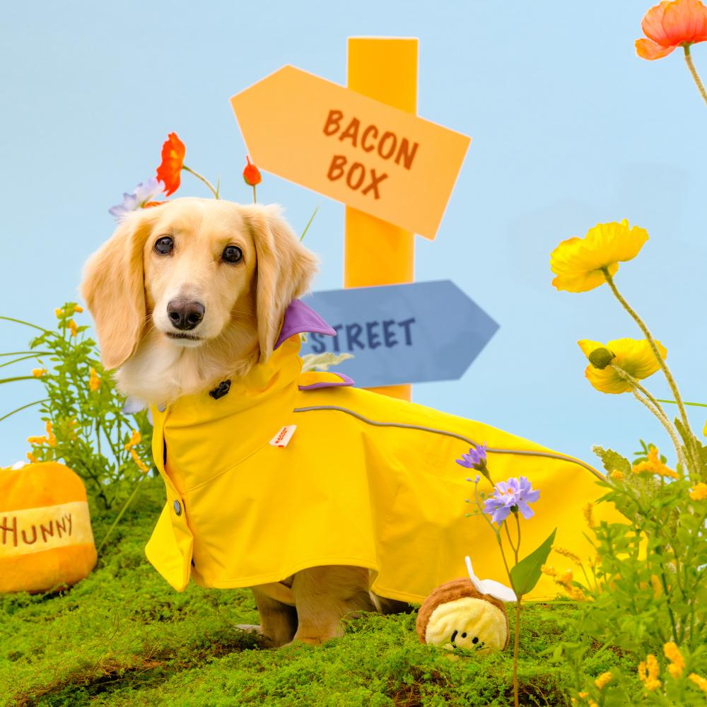 이지웨어 레인코트2 - 옐로우