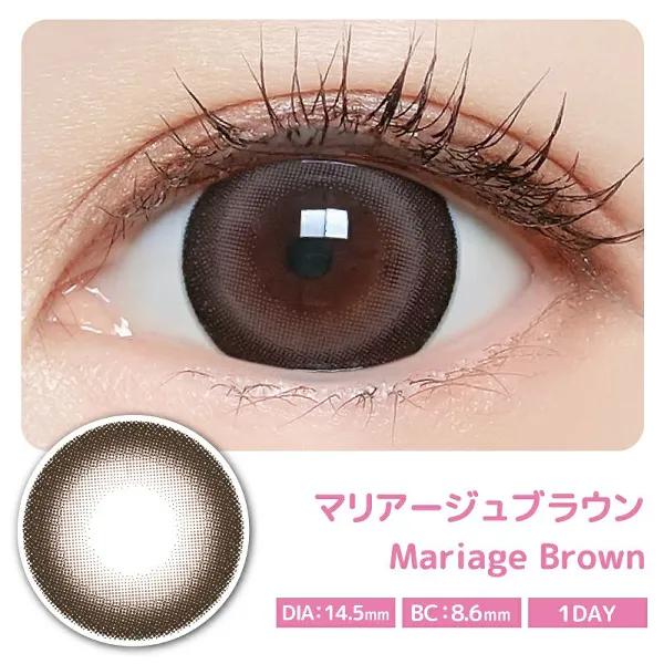 Majette x RELAX 마제트x릴렉스 1day 마리아쥬브라운(1박스 10개들이)