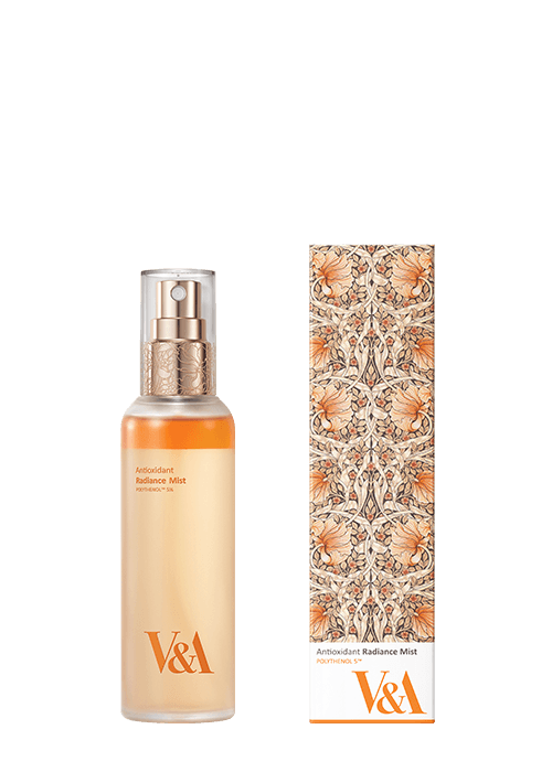 안티옥시던트 미스트 100mL