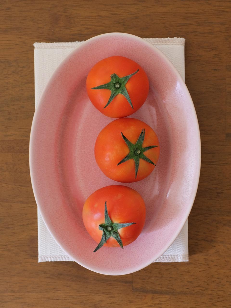 포엠 오벌 플레이트 24cm 플랫피치