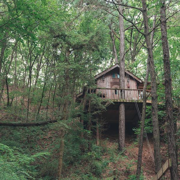허 클 베 리 : Treehouse