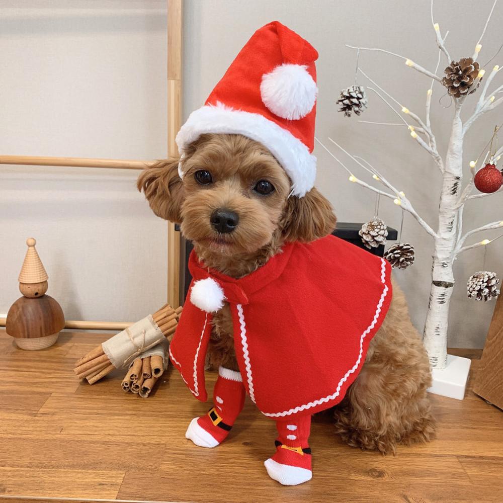 산타모자&빨간망토 강아지옷 강아지케이프