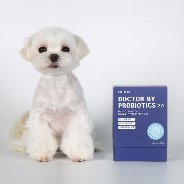 프로바이오틱스 강아지 600억 캡슐 유산균