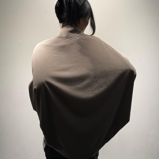 Ch.V.132 | 후루츠패밀리