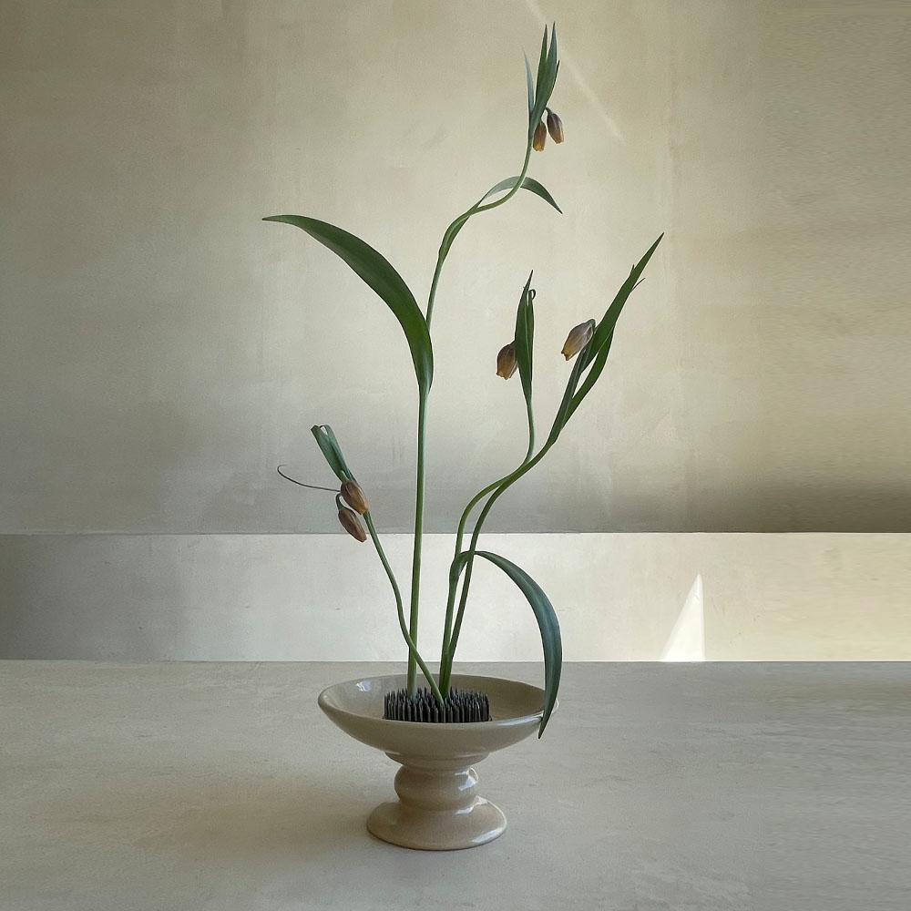 플랫 베이스, 모색