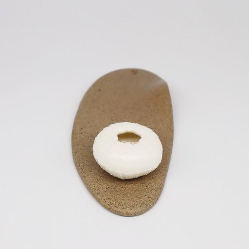 아소토 바다한조각 샌디트레이/보라성게