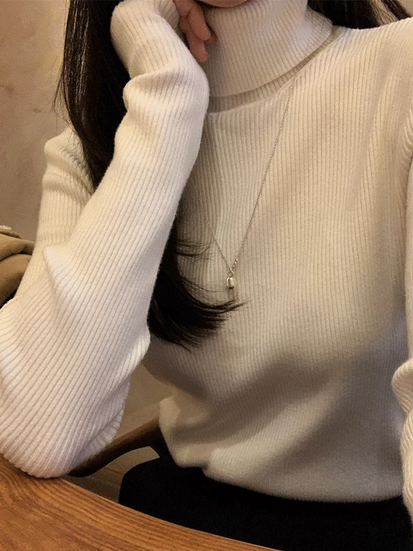 디브 골지 목폴라 니트 / 9color