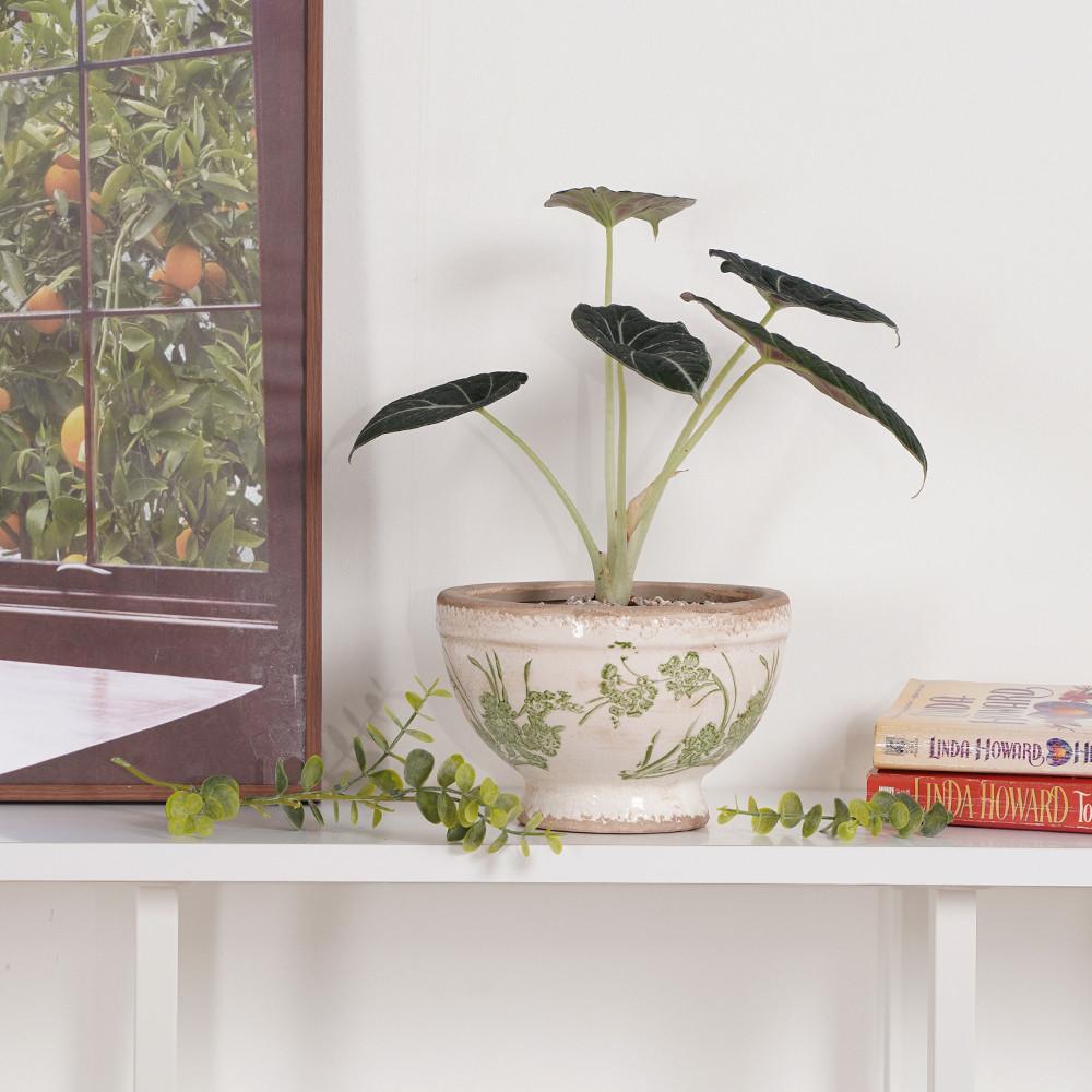 데팡스 보울팟 엔틱 빈티지 화분 인테리어 분갈이 도자기 화분 그린