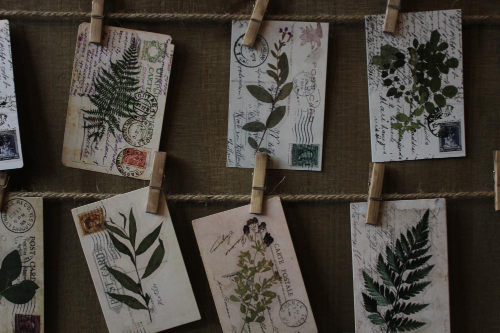 오랜기록 빈티지 보태니컬 엽서 5장