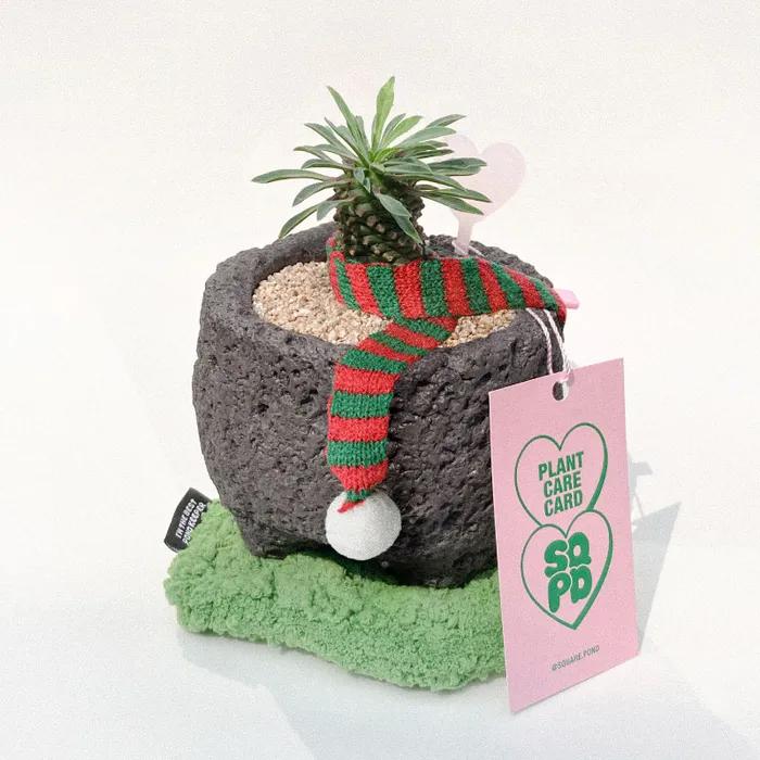 [EVENT] 괴마옥 & 이끼코스터 SET