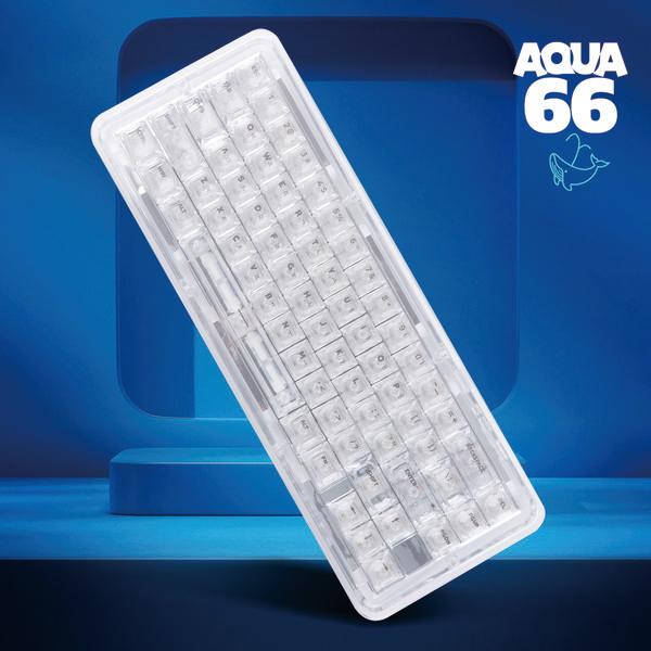 몬스타기어 아쿠아66 투명키보드