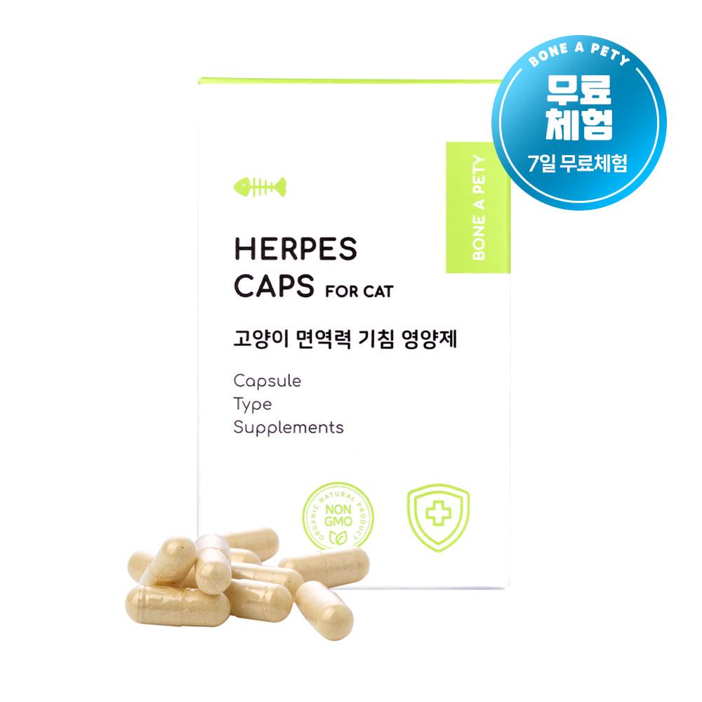 본아페티 고양이 기침 기관지 허피스 영양제 허피스캡스포캣 60정