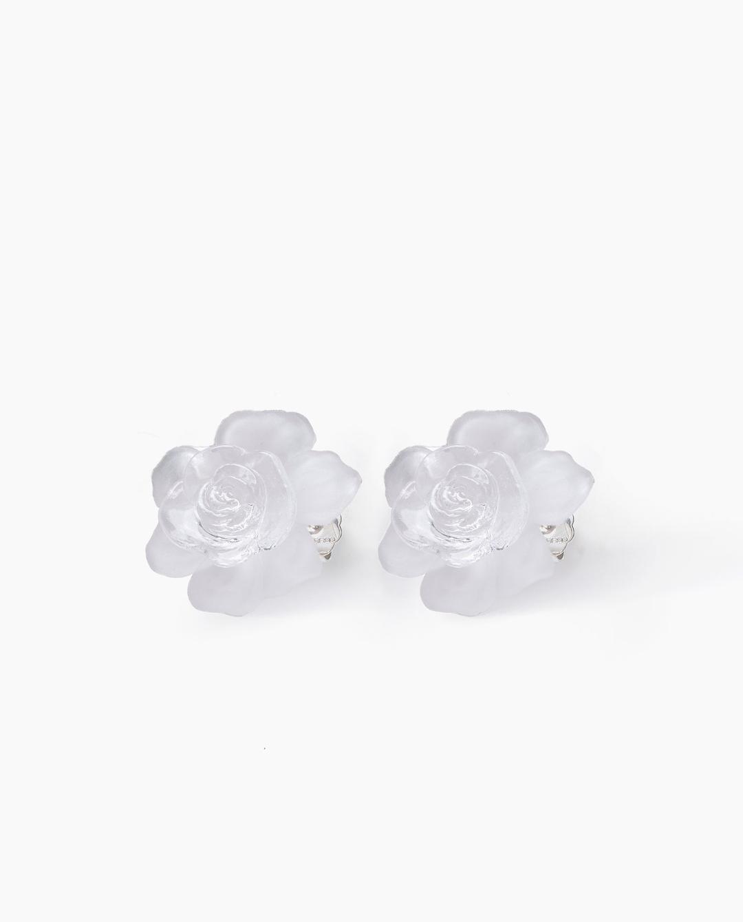 Bodas de cristal Earrings