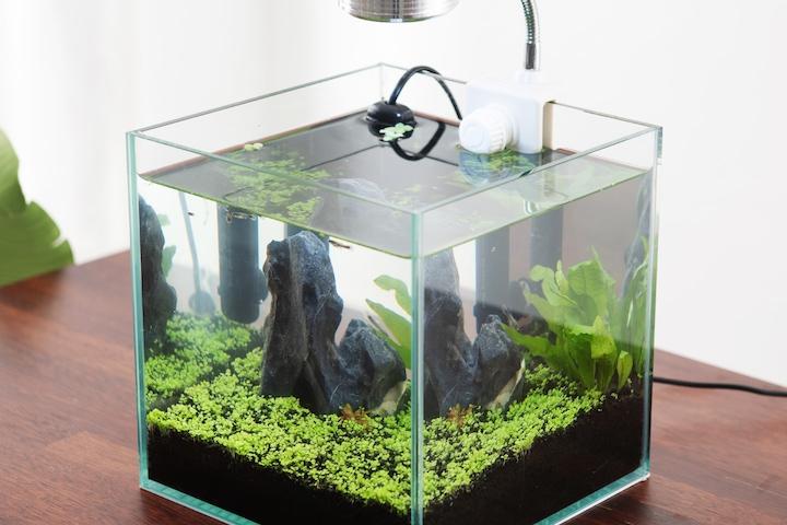 어항 소형 베타 구피 물고기 키우기 미니 어항세트 수족관