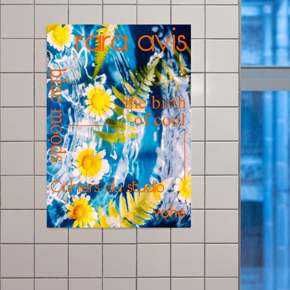 VOHE ART #205 rara avis  카페 디자인 유니크 아트프린트 포스터