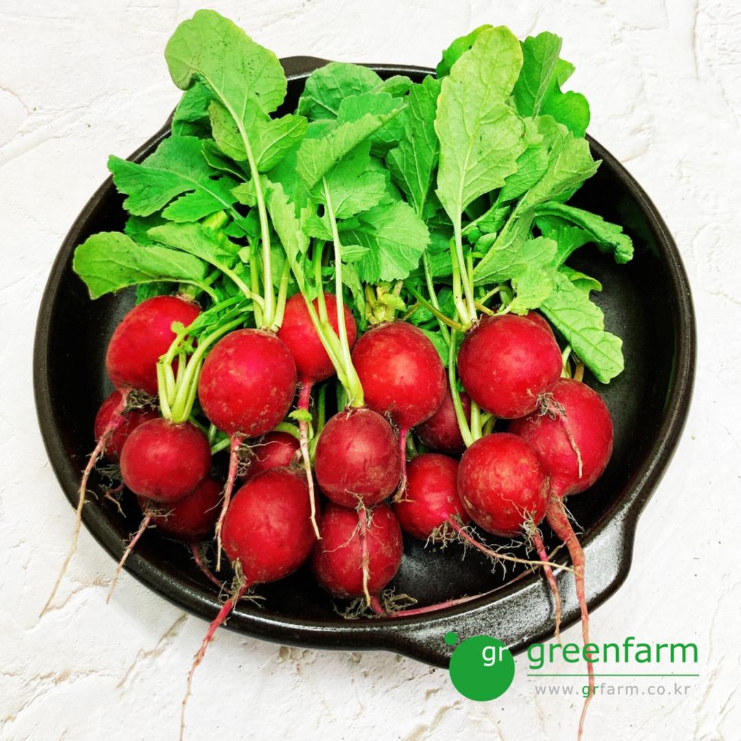 래디쉬 300g
