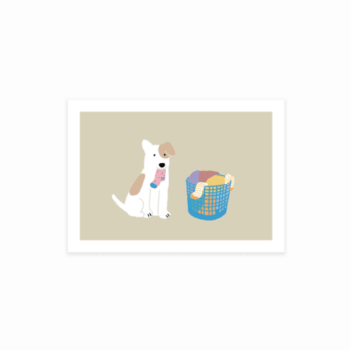 LAUNDRY postcard