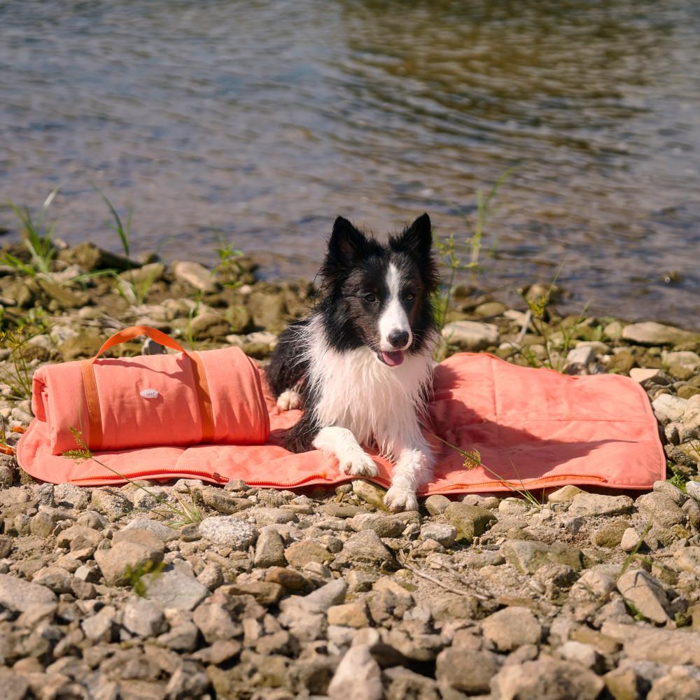 아르르 액티브 아웃도어 매트 강아지 산책 매트 3colors