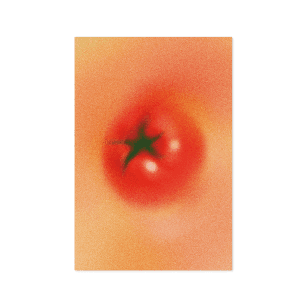 [기묘] Tomato 엽서