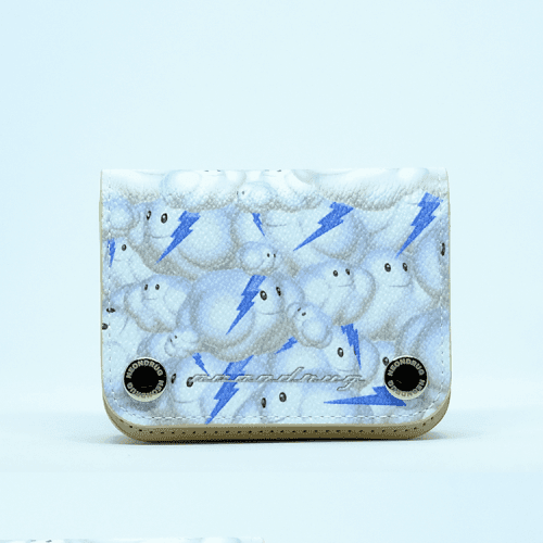 Accordian Cloud Wallet