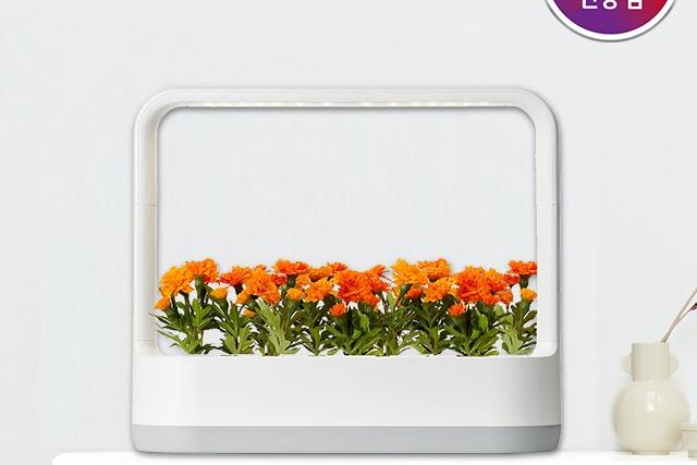 LG 틔운 미니 식물생활가전 식물재배기 L011W1 화이트