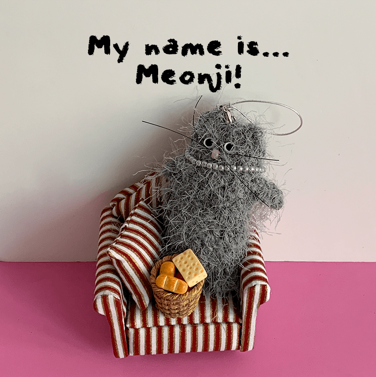 My name is Meonji!(Gray cat)