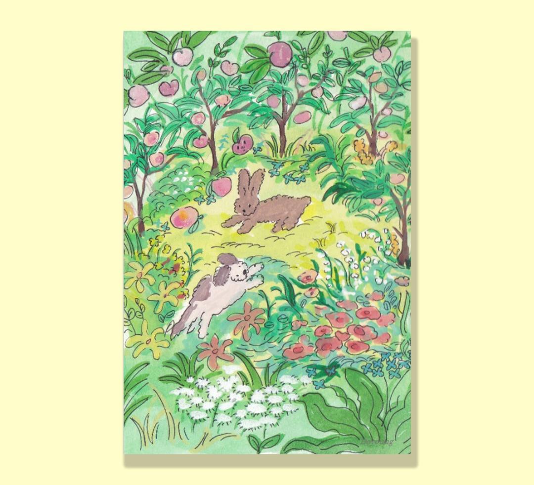 [Doyoung] 복숭아숲 엽서