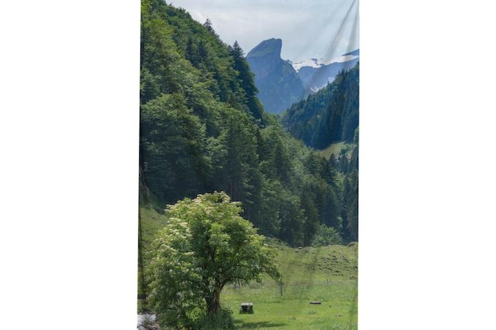 대형 패브릭포스터 가리개커튼 포토 시리즈 / 03 A WALK IN THE WOODS