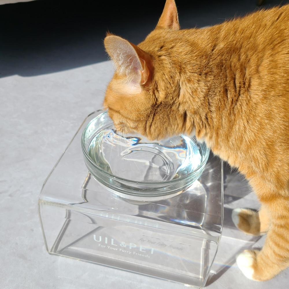 유일앤펫 참참볼 강아지 고양이 밥그릇 물그릇 급수기 유리볼 식기식탁 투명유리수반