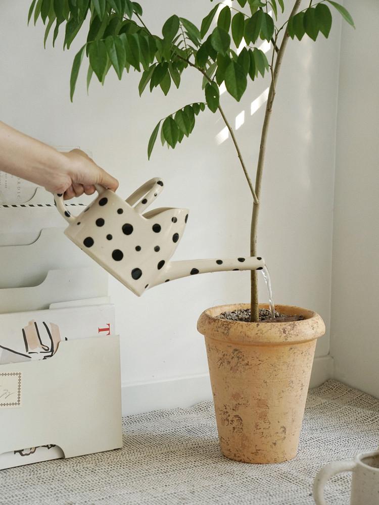 도자기 식물 인테리어 화분 물조리개