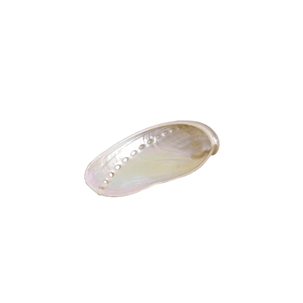 Pearl Daha