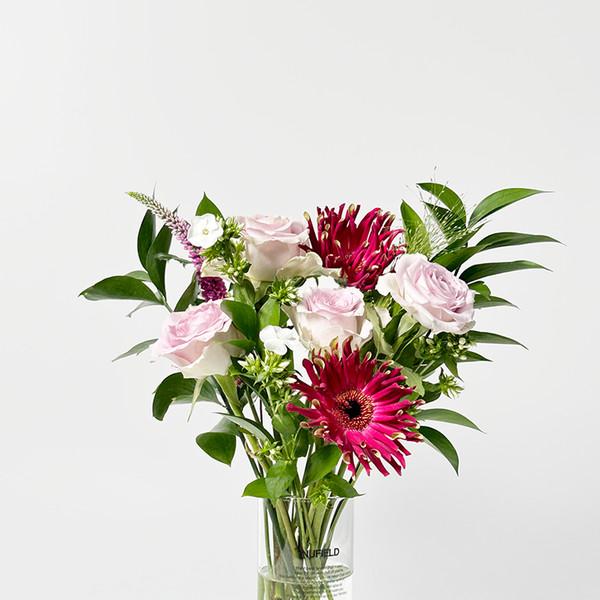 Safe Regular Collection