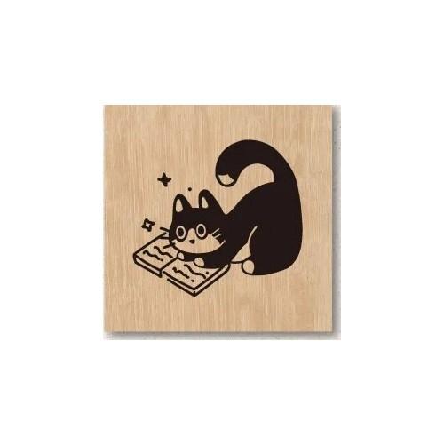 Reading Cat