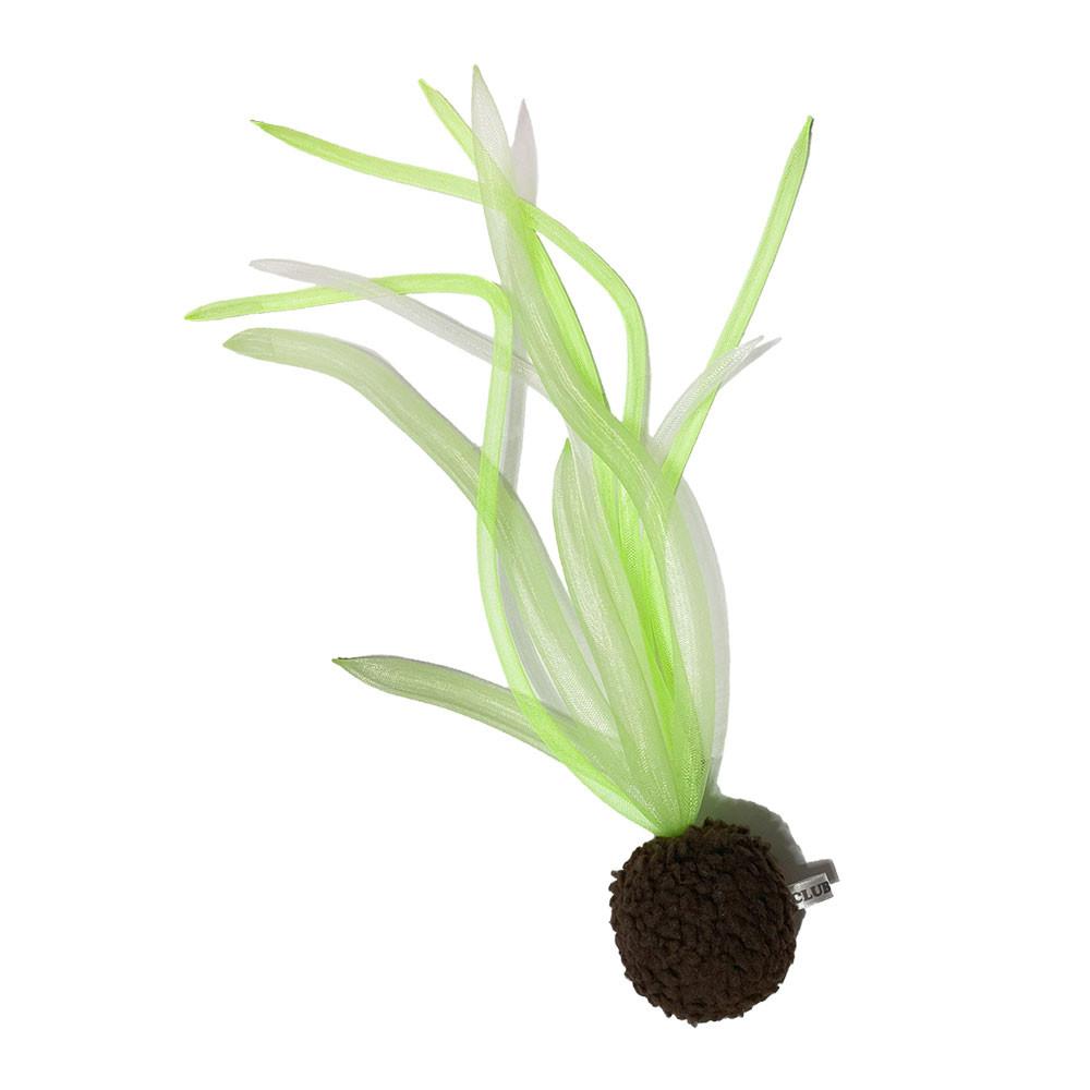 Don't worry about me + Pot (S Size)