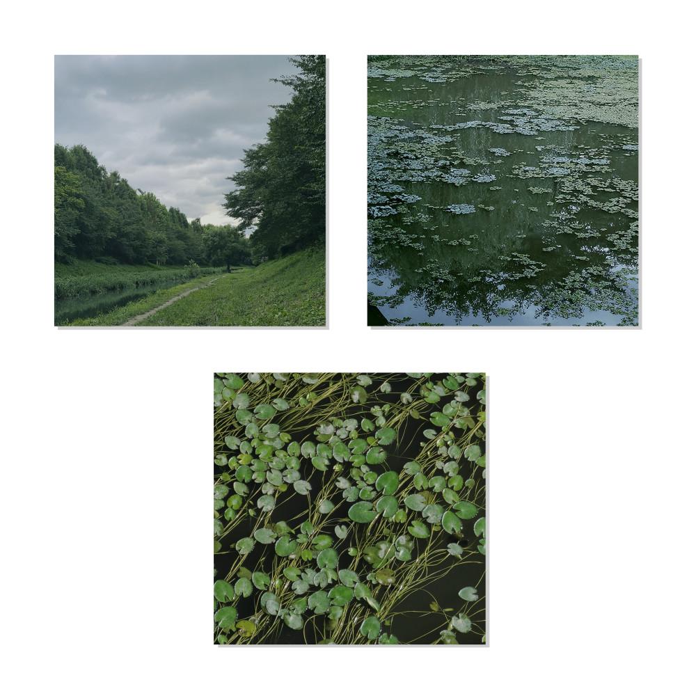 [요초] 여름의 습지 메모지 (3종)