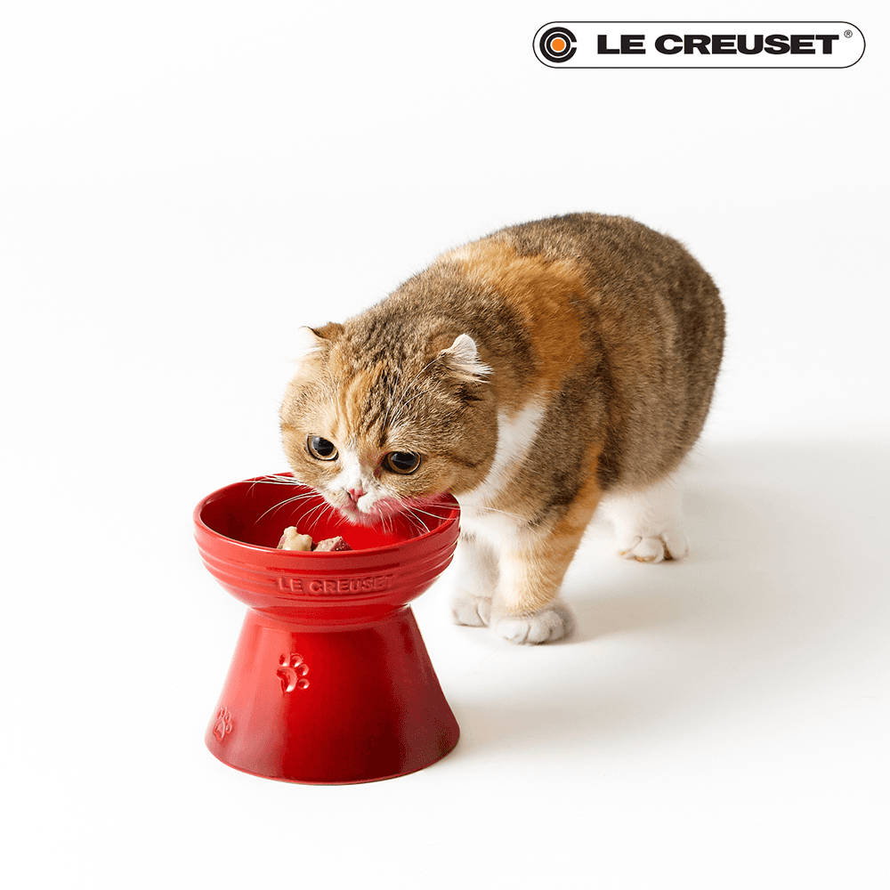 반려동물 하이스탠드 식기 (색상선택)