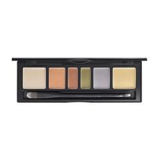 정샘물 아티스트 컨실러 팔레트