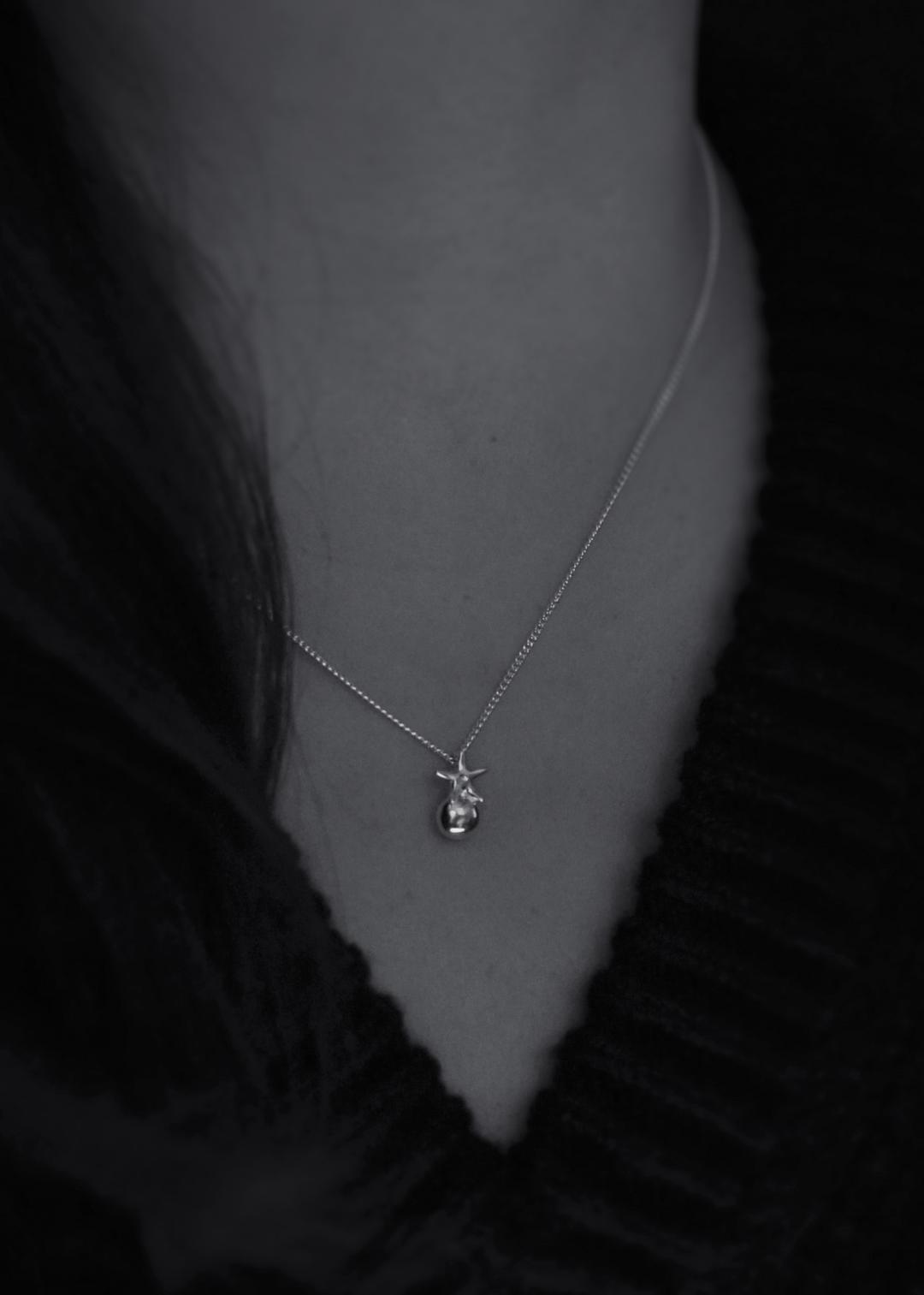 Star Moon Tomato Necklace